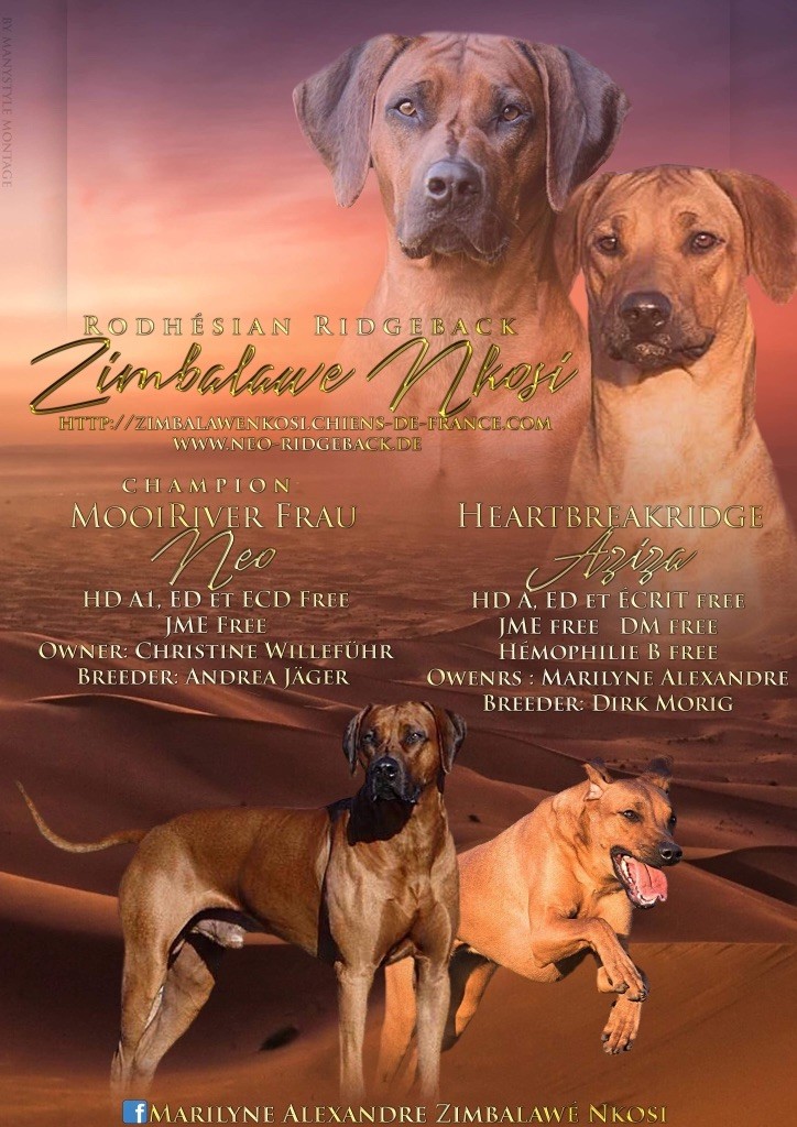 Mariage de Heartbreakridge Aziza et Mooi River Faru Neo